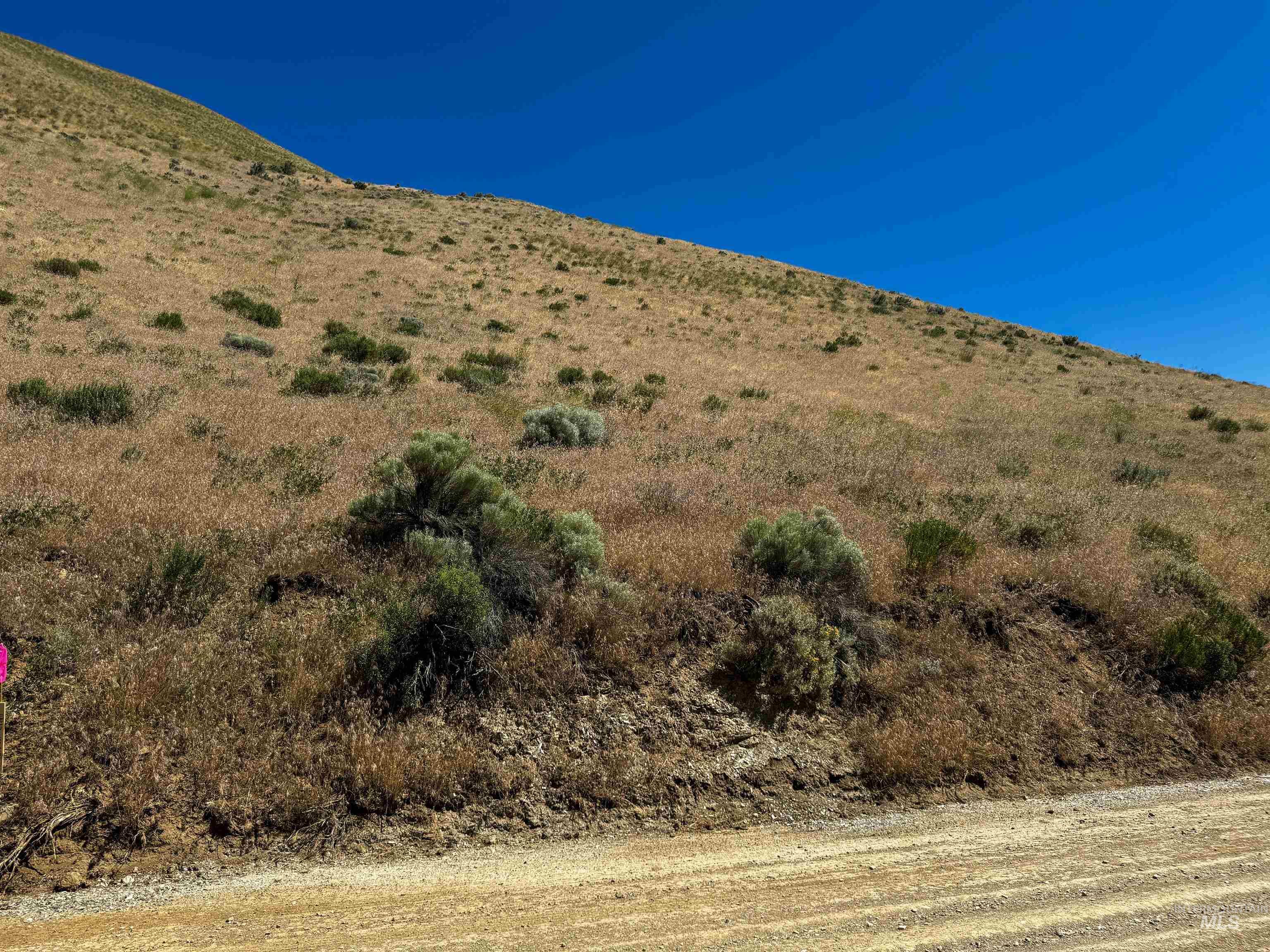 Lot 3-parcel Rock Creek Road Weiser, ID 83672 - Photo 9 of 18
