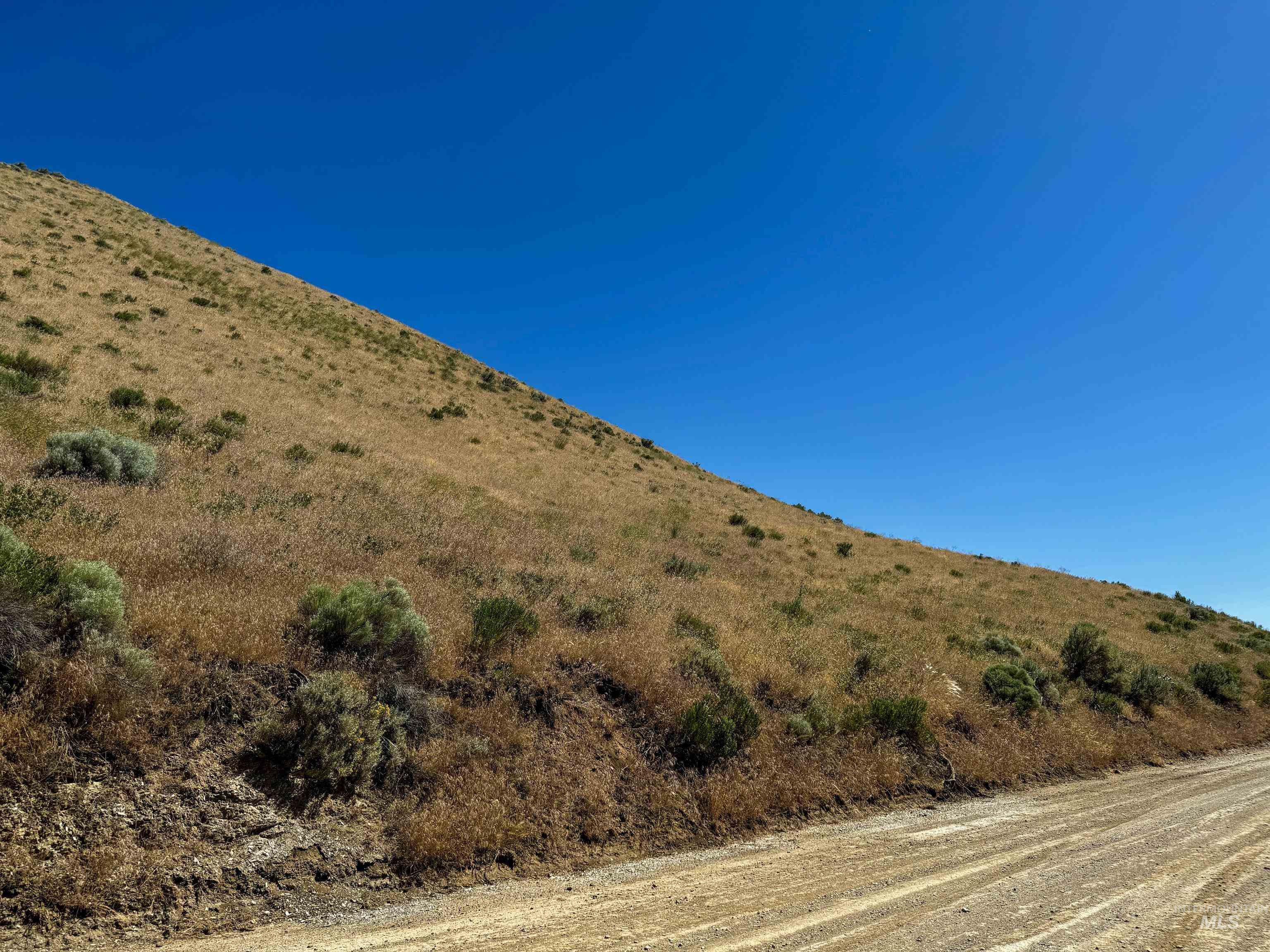 Lot 3-parcel Rock Creek Road Weiser, ID 83672 - Photo 10 of 18