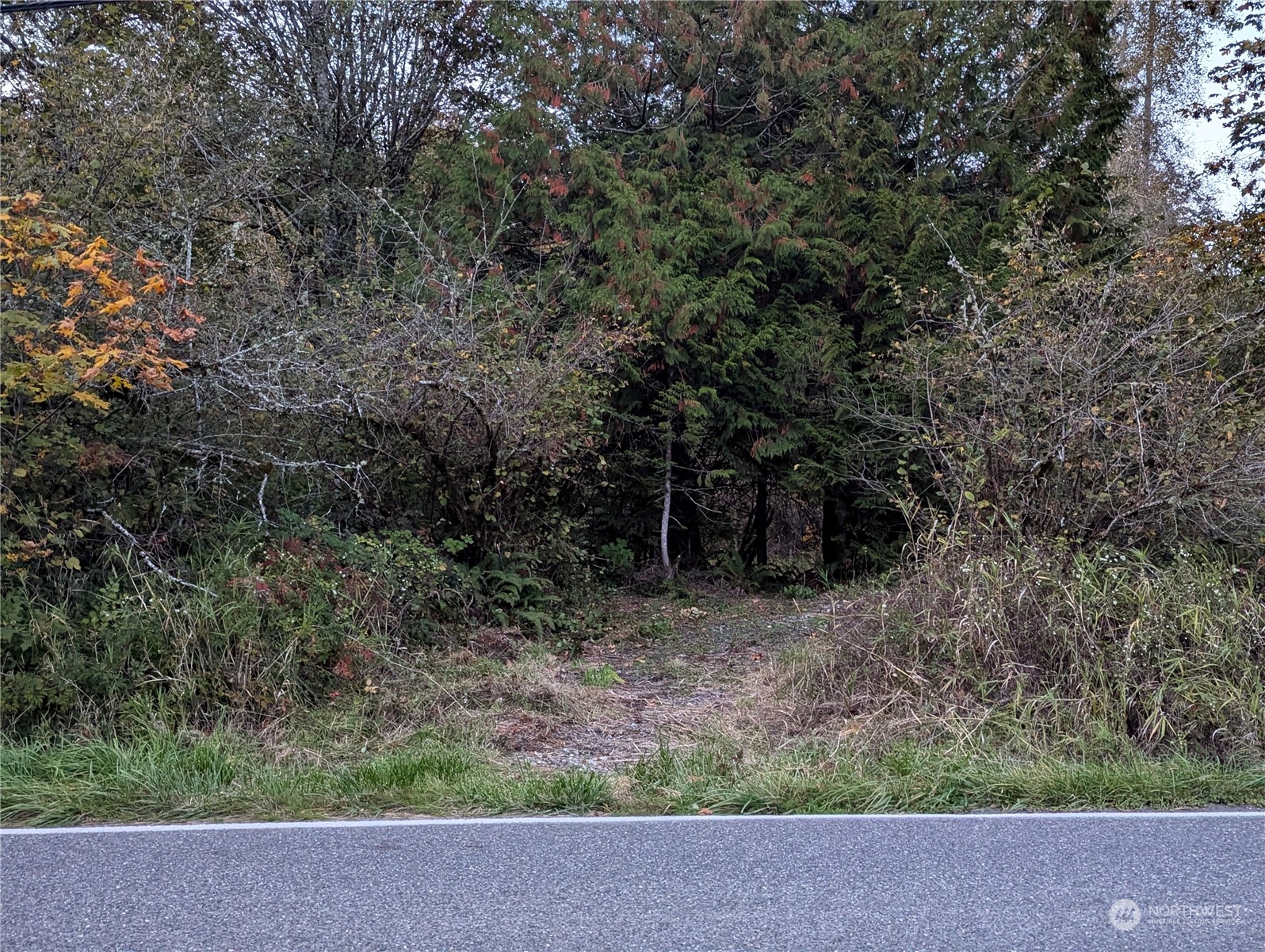 2724 McCorkle Road Southeast Olympia, WA 98501 - Photo 24 of 25 Gallery Image 24