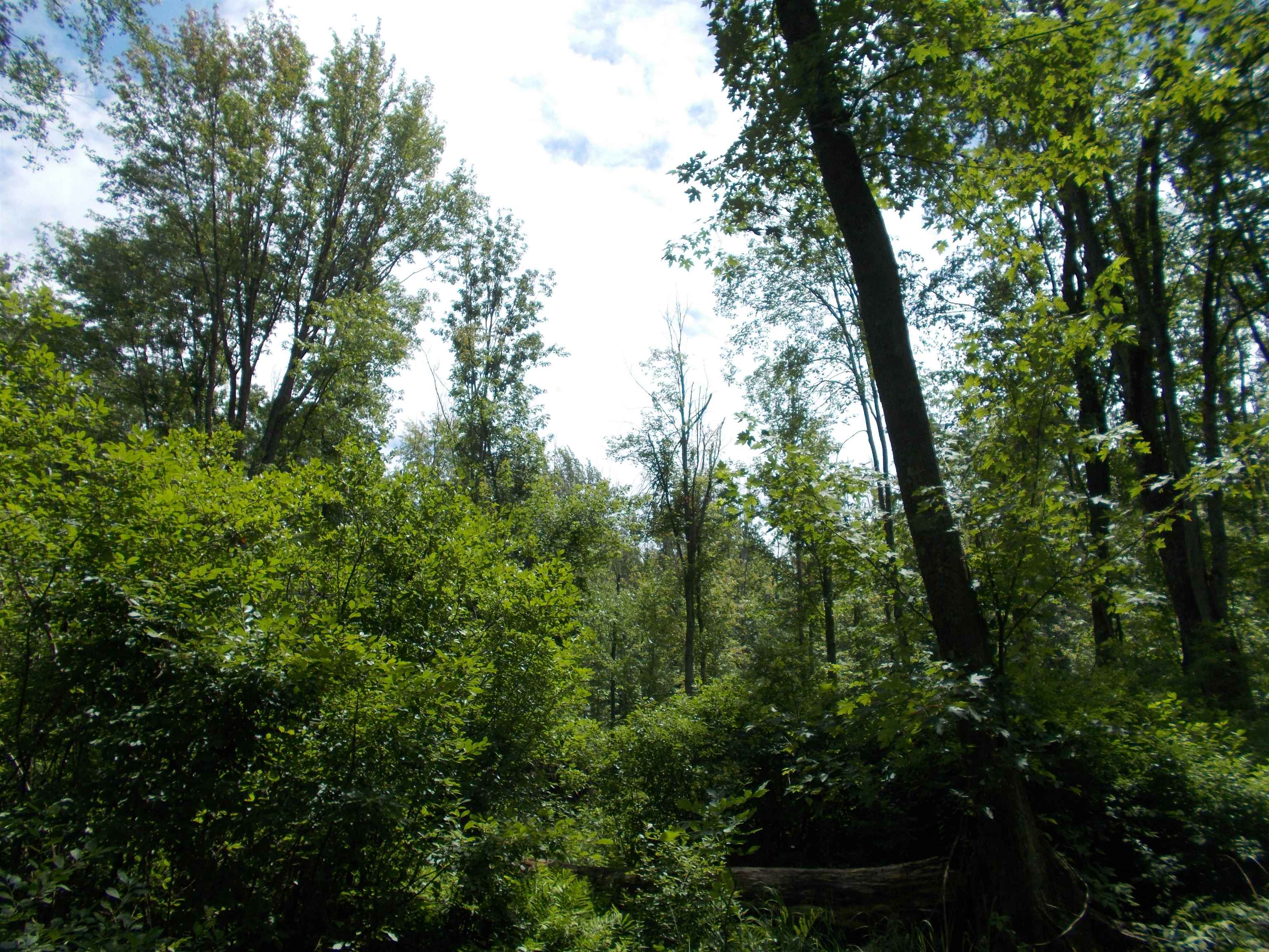 0 West Bessinger Road Omer, MI 48749 - Photo 7 of 16