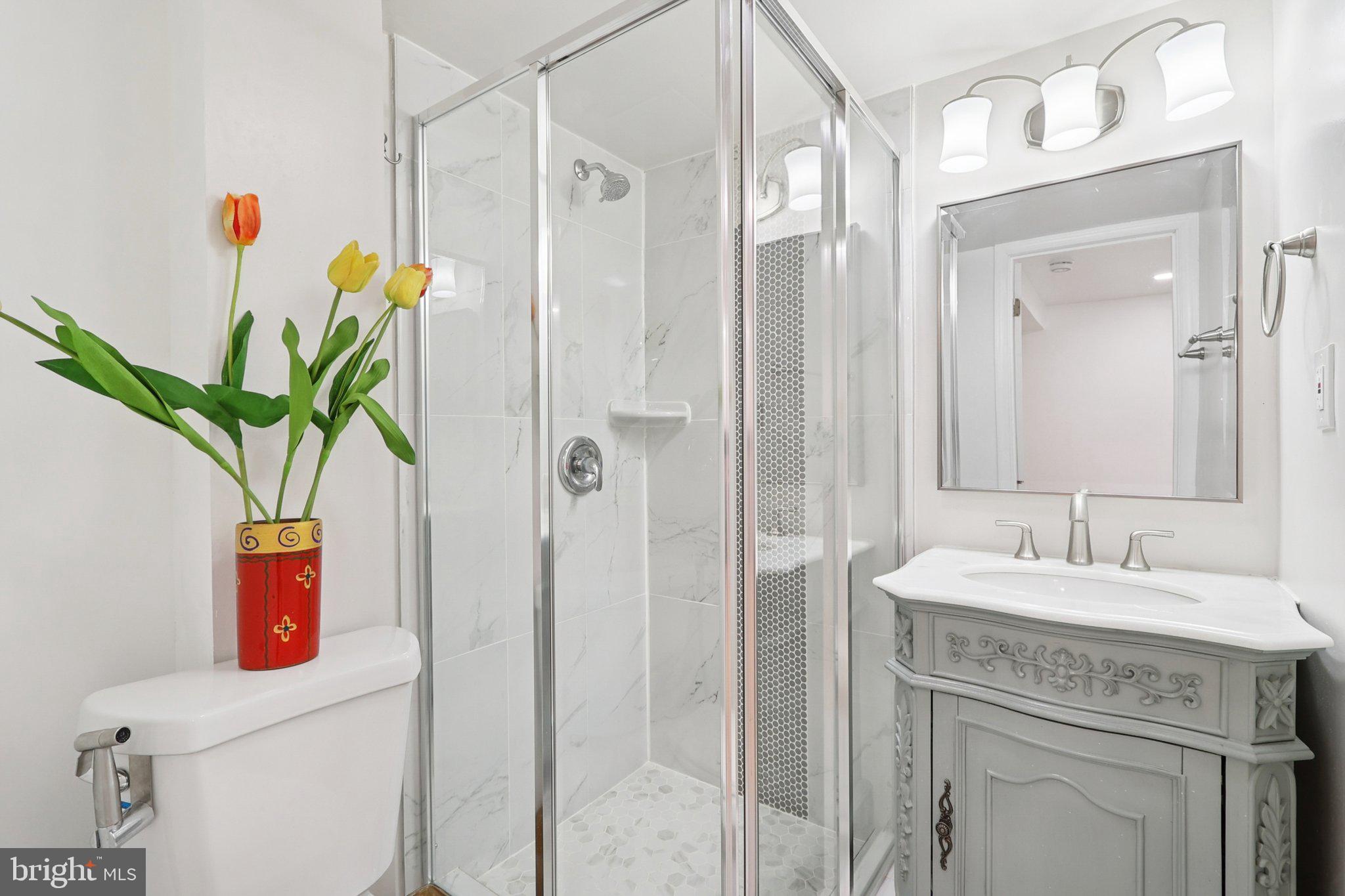 6246 Hillside Road Springfield, VA 22152 - Photo 21 of 41 a bathroom with a sink a toilet and a mirror