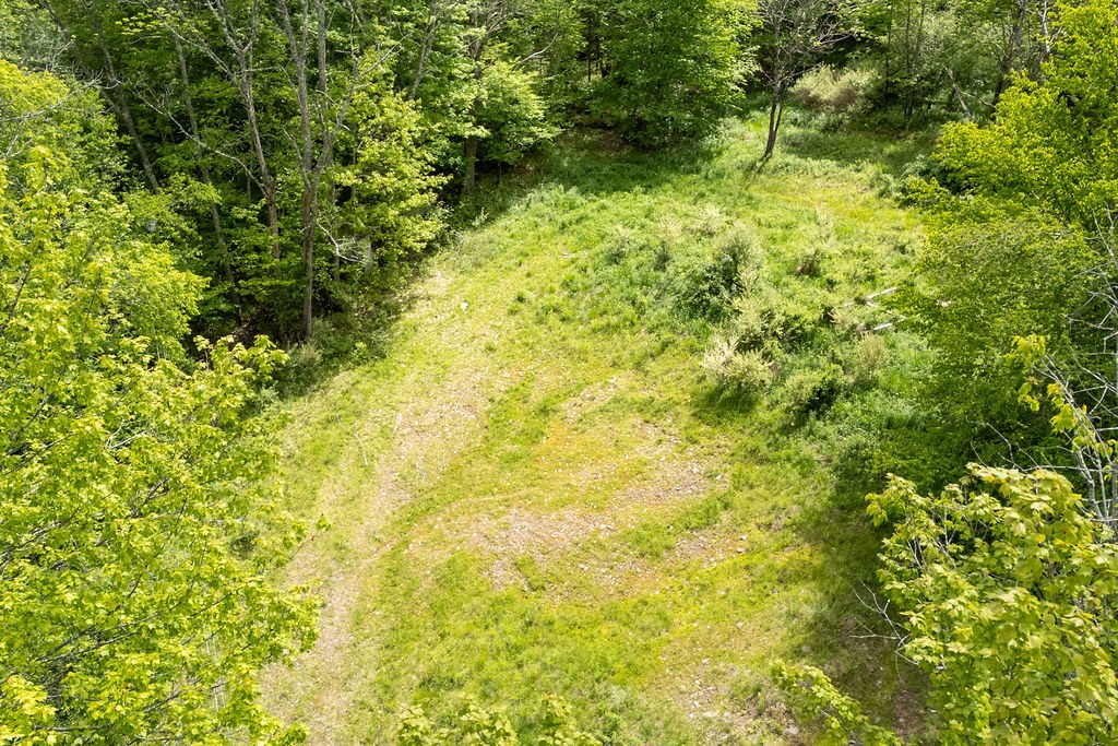 1361 Weaver Hollow Road Andes, NY 12455 - Photo 10 of 23