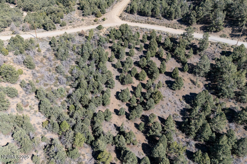 1450 Bonanza Road, Unit DIRT ROAD Reno, NV 89521 - Photo 11 of 12 a view of a dry yard