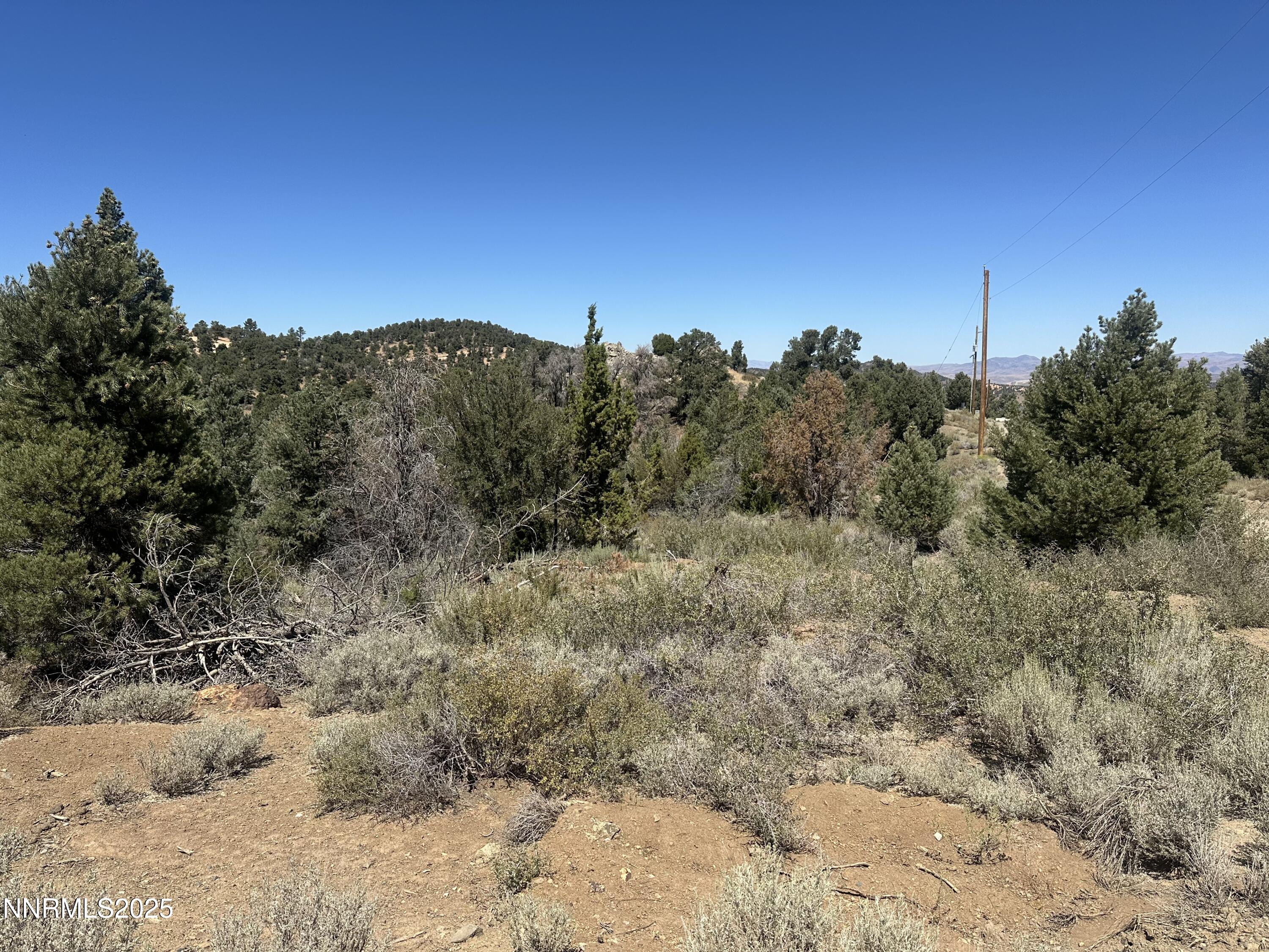 1450 Bonanza Road, Unit DIRT ROAD Reno, NV 89521 - Photo 2 of 12 a view of a large tree with a mountain in the background