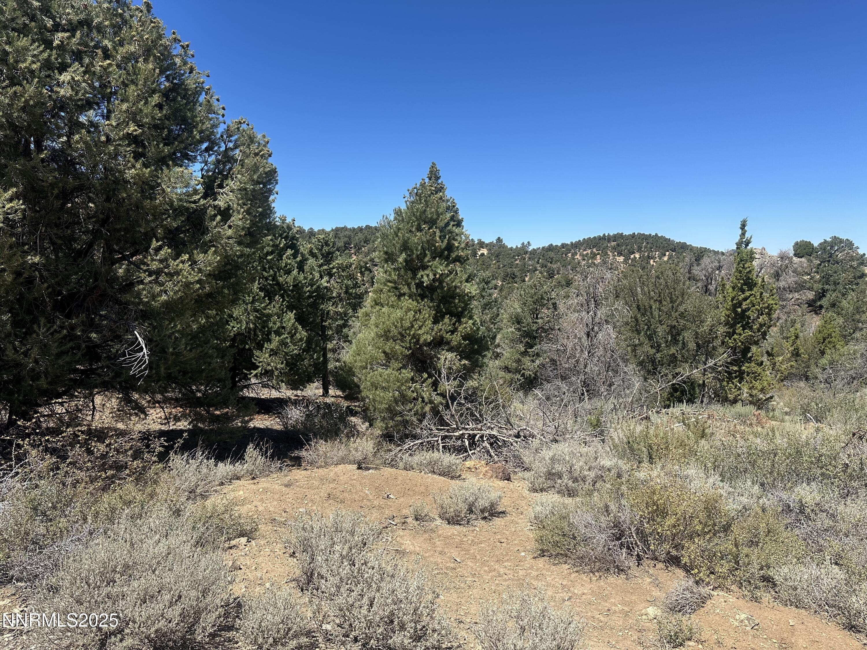 1450 Bonanza Road, Unit DIRT ROAD Reno, NV 89521 - Photo 3 of 12 a view of outdoor space and covered with trees