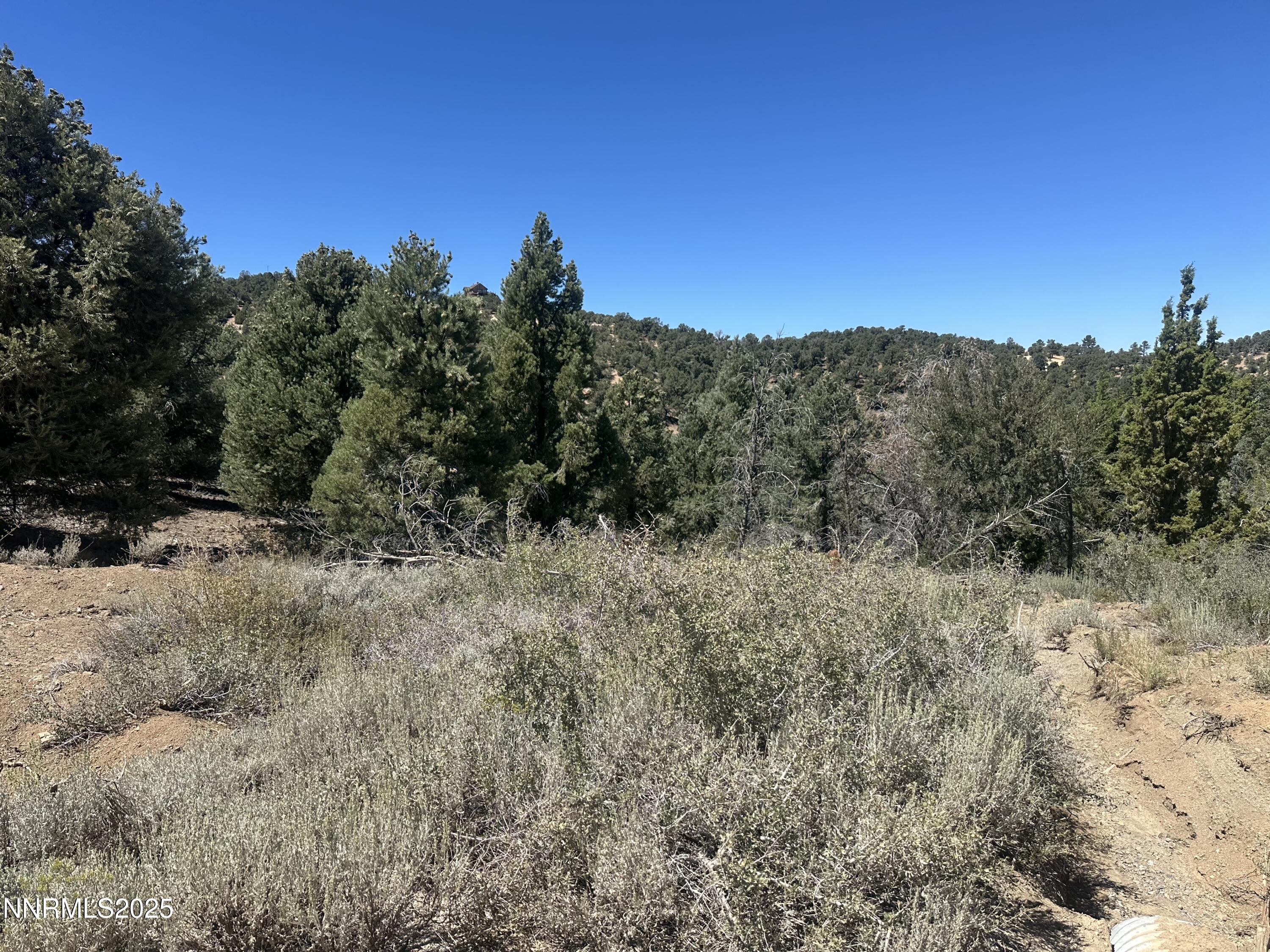 1450 Bonanza Road, Unit DIRT ROAD Reno, NV 89521 - Photo 6 of 12 a view of a dry yard with green space