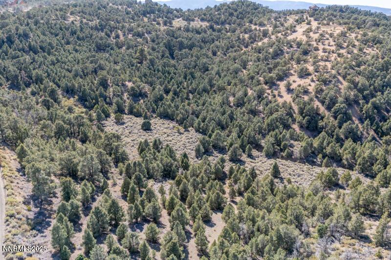 1450 Bonanza Road, Unit DIRT ROAD Reno, NV 89521 - Photo 8 of 12 a view of a house with a street