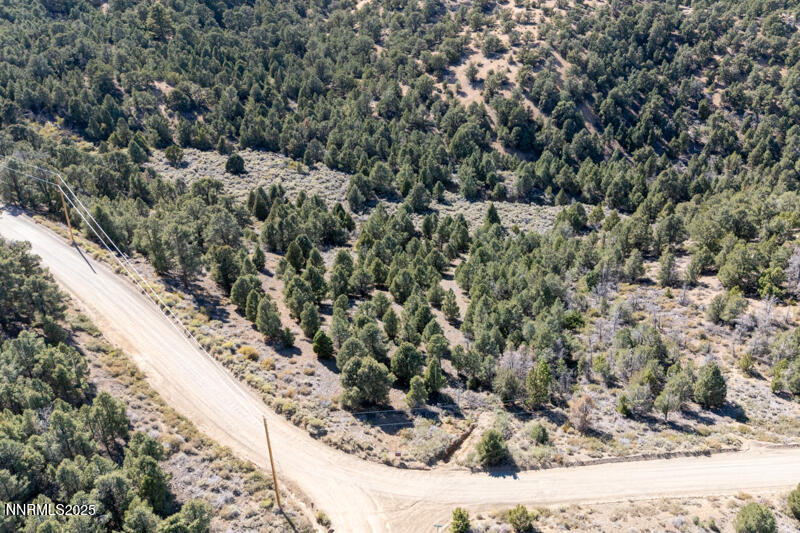 1450 Bonanza Road, Unit DIRT ROAD Reno, NV 89521 - Photo 9 of 12 a view of a forest with a tree