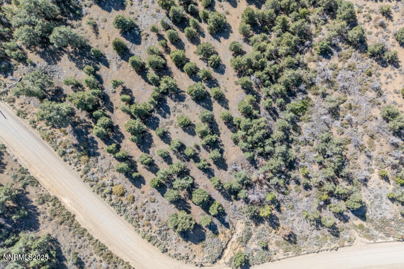 1450 Bonanza Road, Unit DIRT ROAD Reno, NV 89521 - Photo 10 of 12 a view of a dry yard with lots of bushes