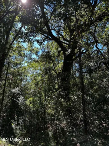 $15,000 | 6611 Omaha Street, Biloxi, MS 39532