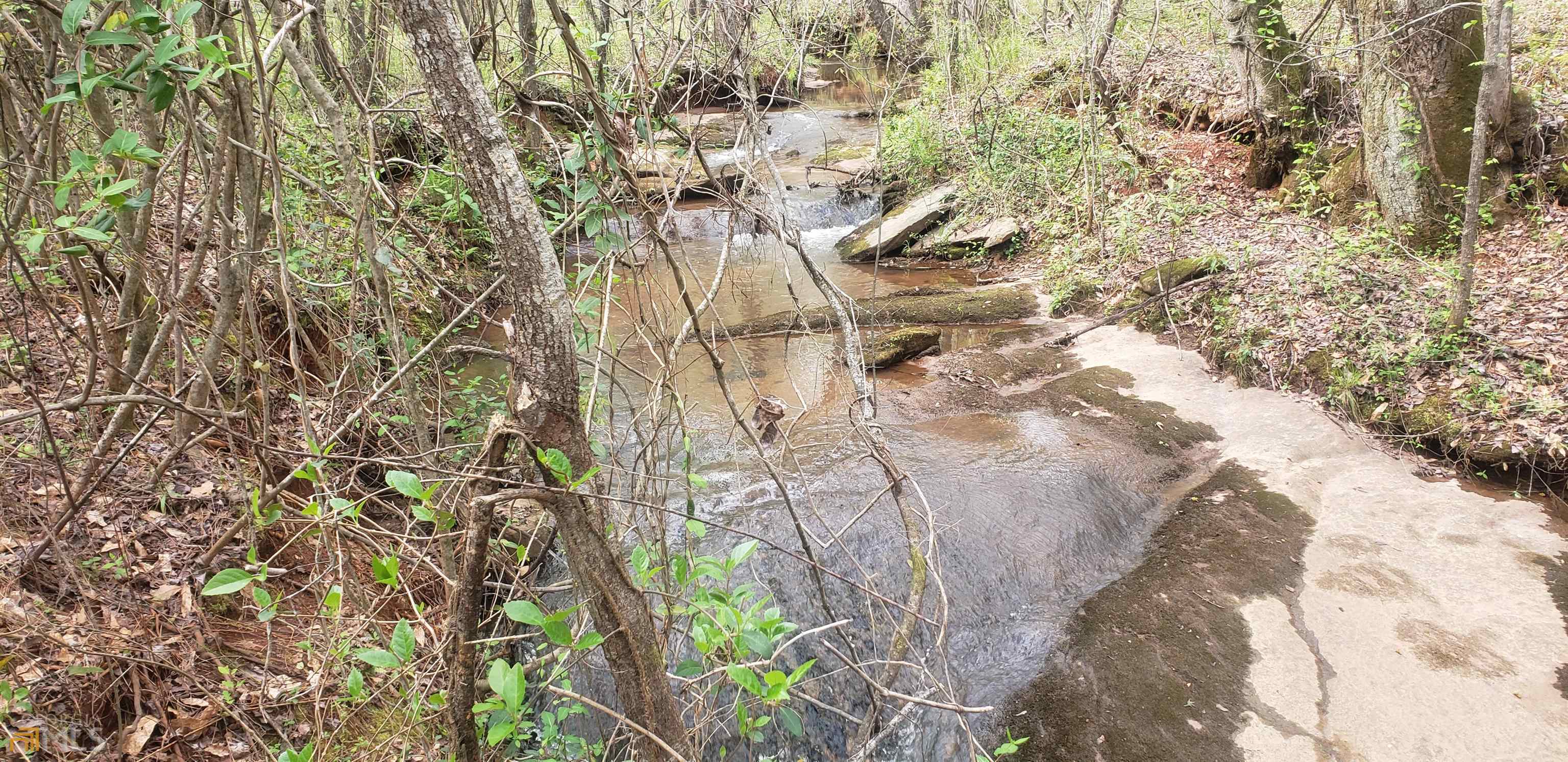 0 Rocky Branch Road Barnesville, GA 30204 - Photo 1 of 1 Gallery Image 1