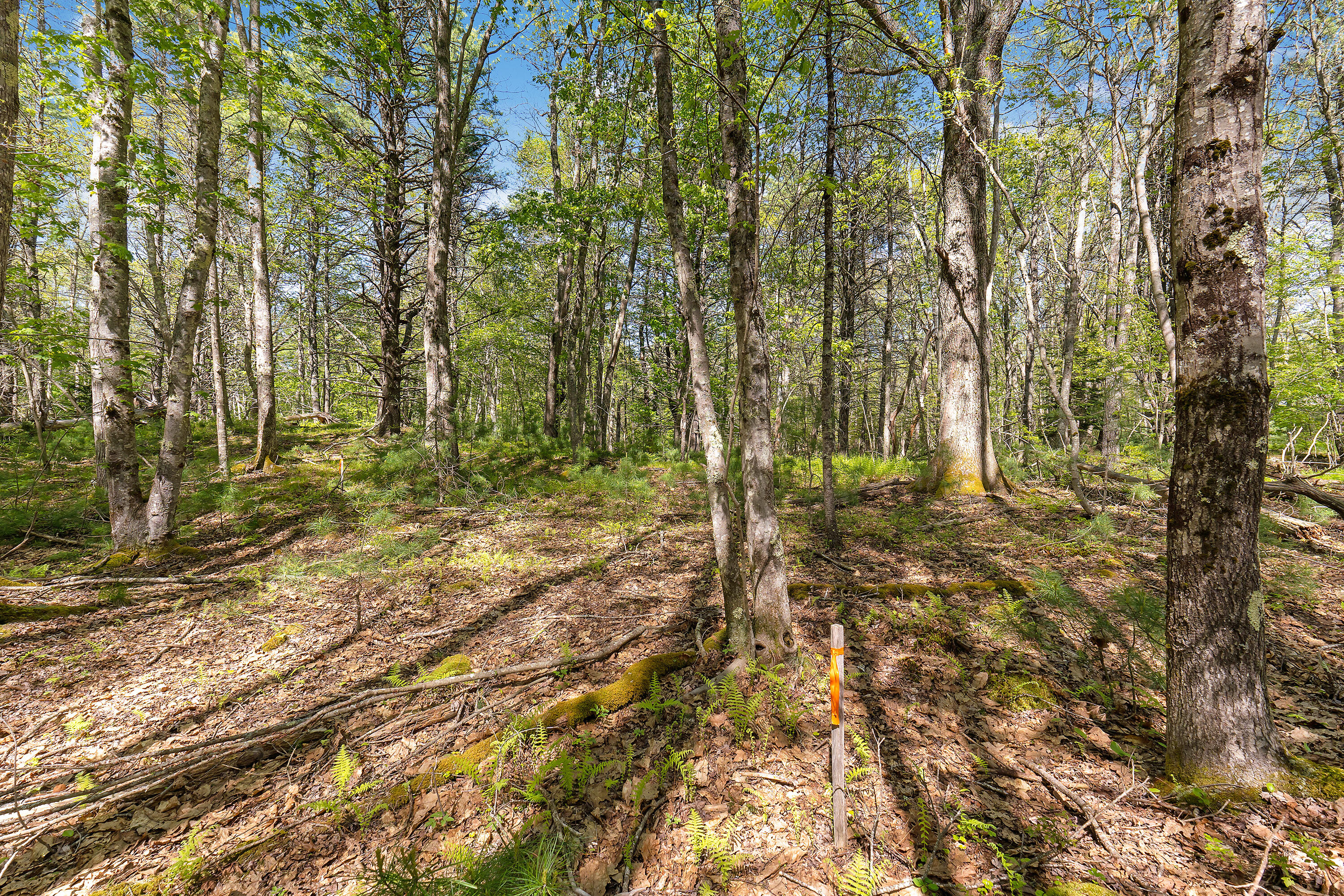 17-1 Bald Head Road Bath, ME 04530 - Photo 14 of 23