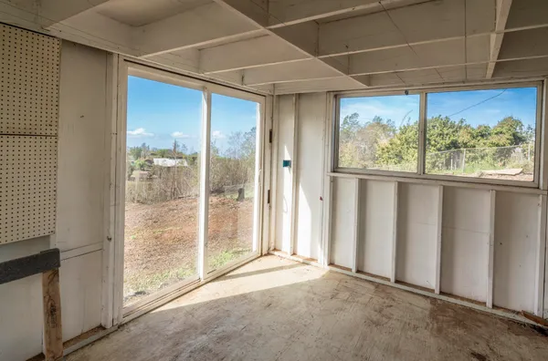 a big yard with lots of green space