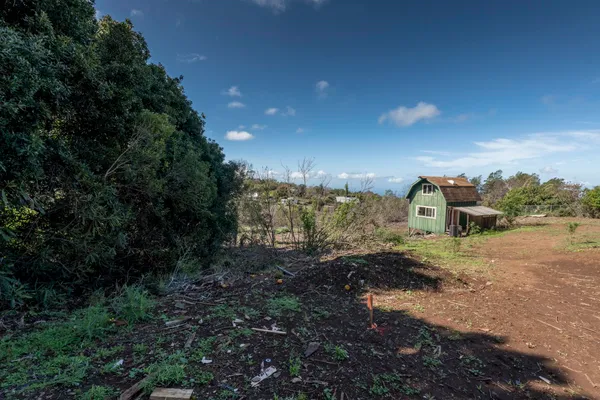 a view of a dry yard with large trees