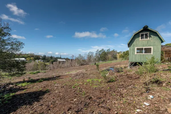 a view of a yard with a tree