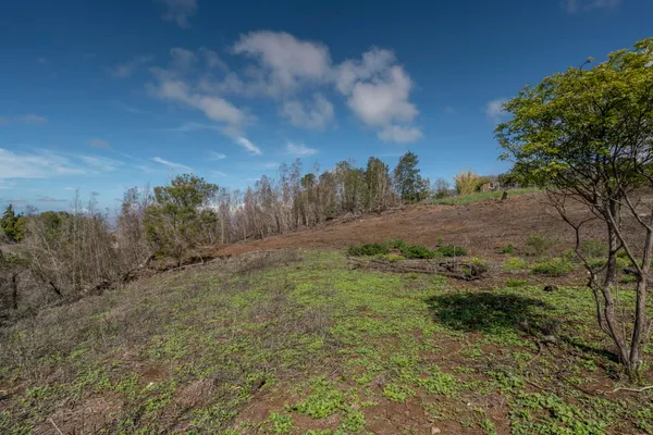 a view of a terrace with a garden