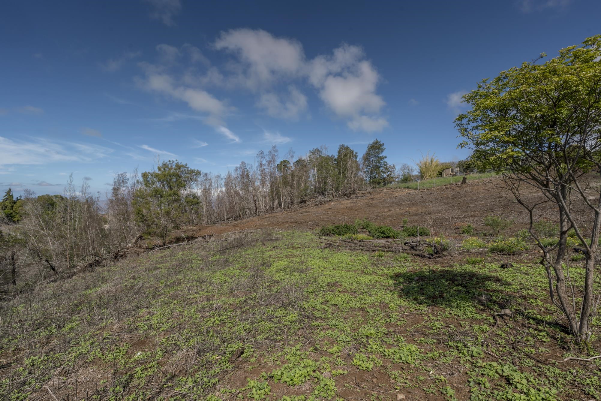 230 Pulehuiki Road, Unit A Kula, HI 96790 - Photo 18 of 29