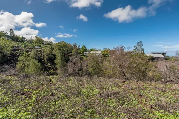 a view of a field with trees in the background