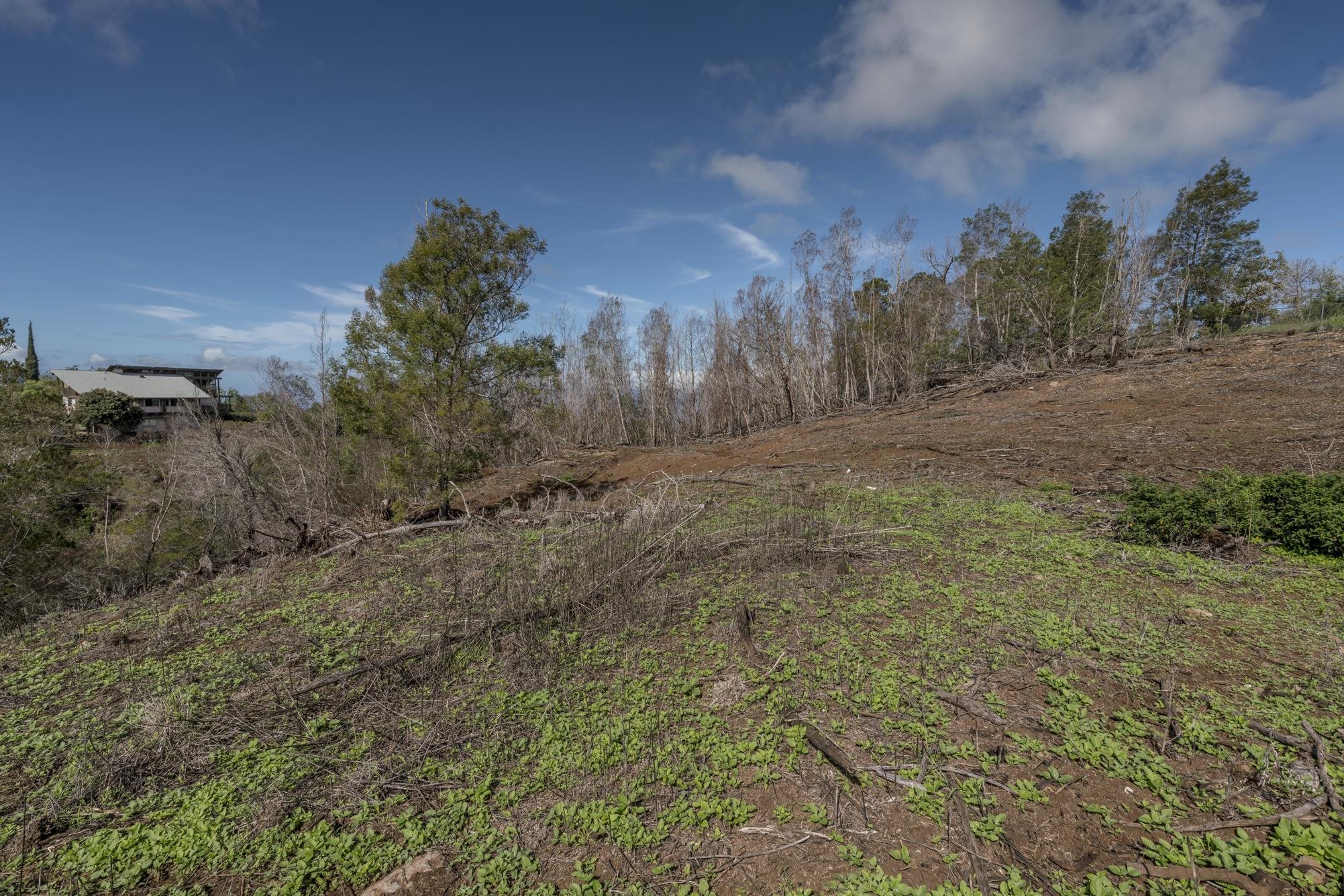 230 Pulehuiki Road, Unit A Kula, HI 96790 - Photo 22 of 29