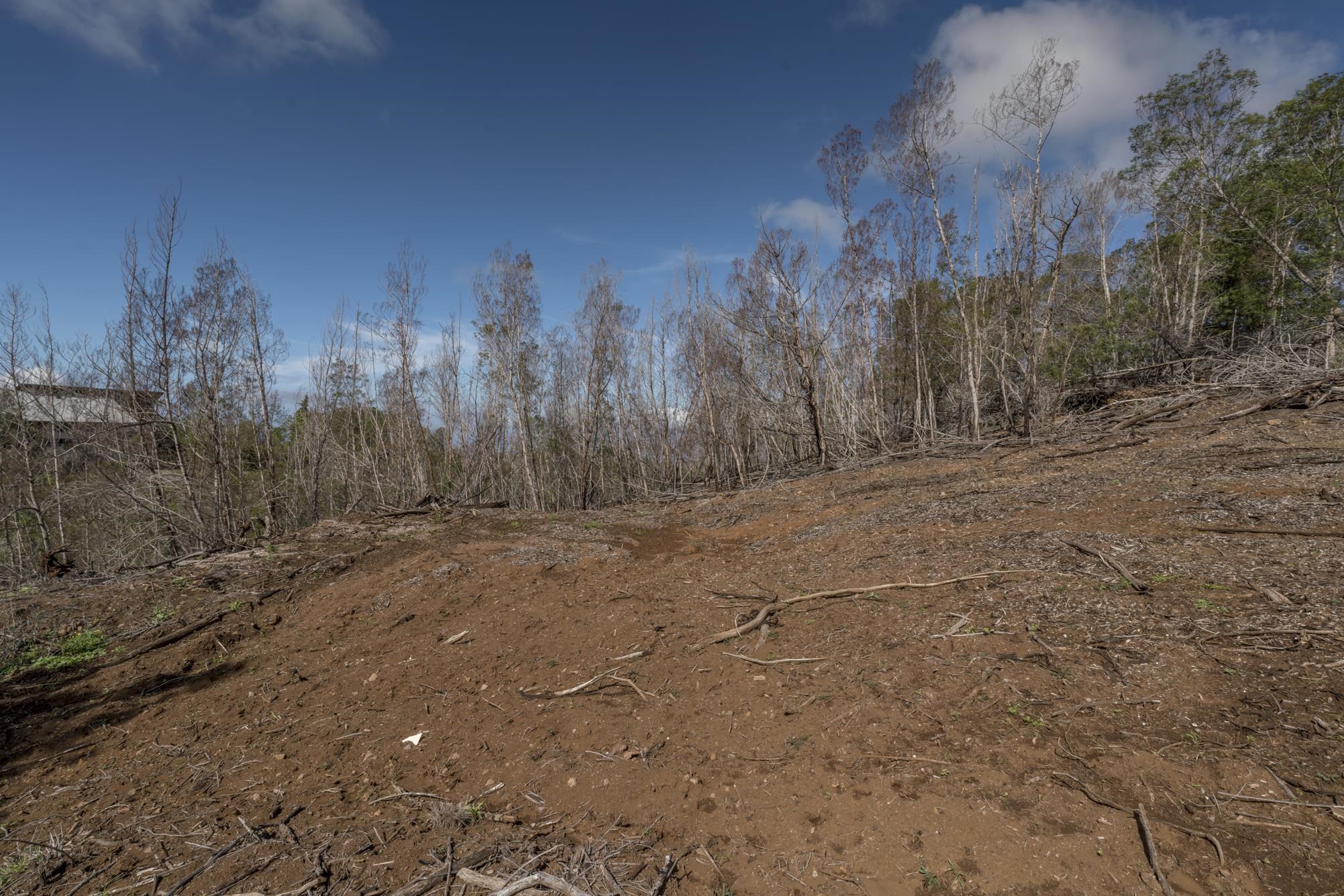 230 Pulehuiki Road, Unit A Kula, HI 96790 - Photo 23 of 29