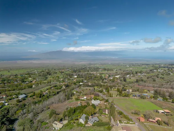 a view of a city with lots of trees