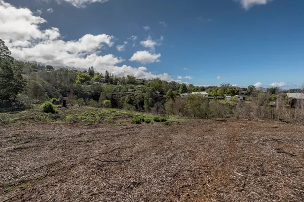 a view of a big yard with lots of green space