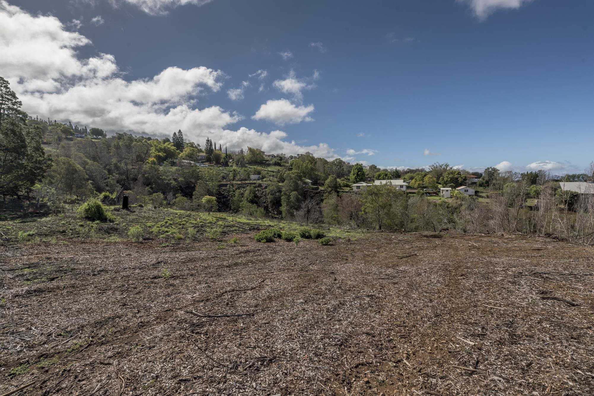 230 Pulehuiki Road, Unit A Kula, HI 96790 - Photo 3 of 29