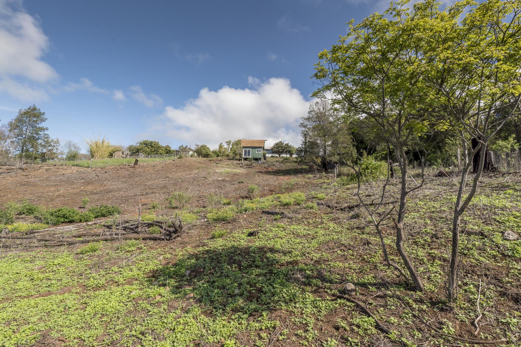 230 Pulehuiki Road, Unit A Kula, HI 96790 - Photo 8 of 29