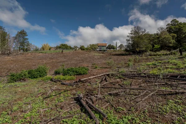 a view of an outdoor space and yard
