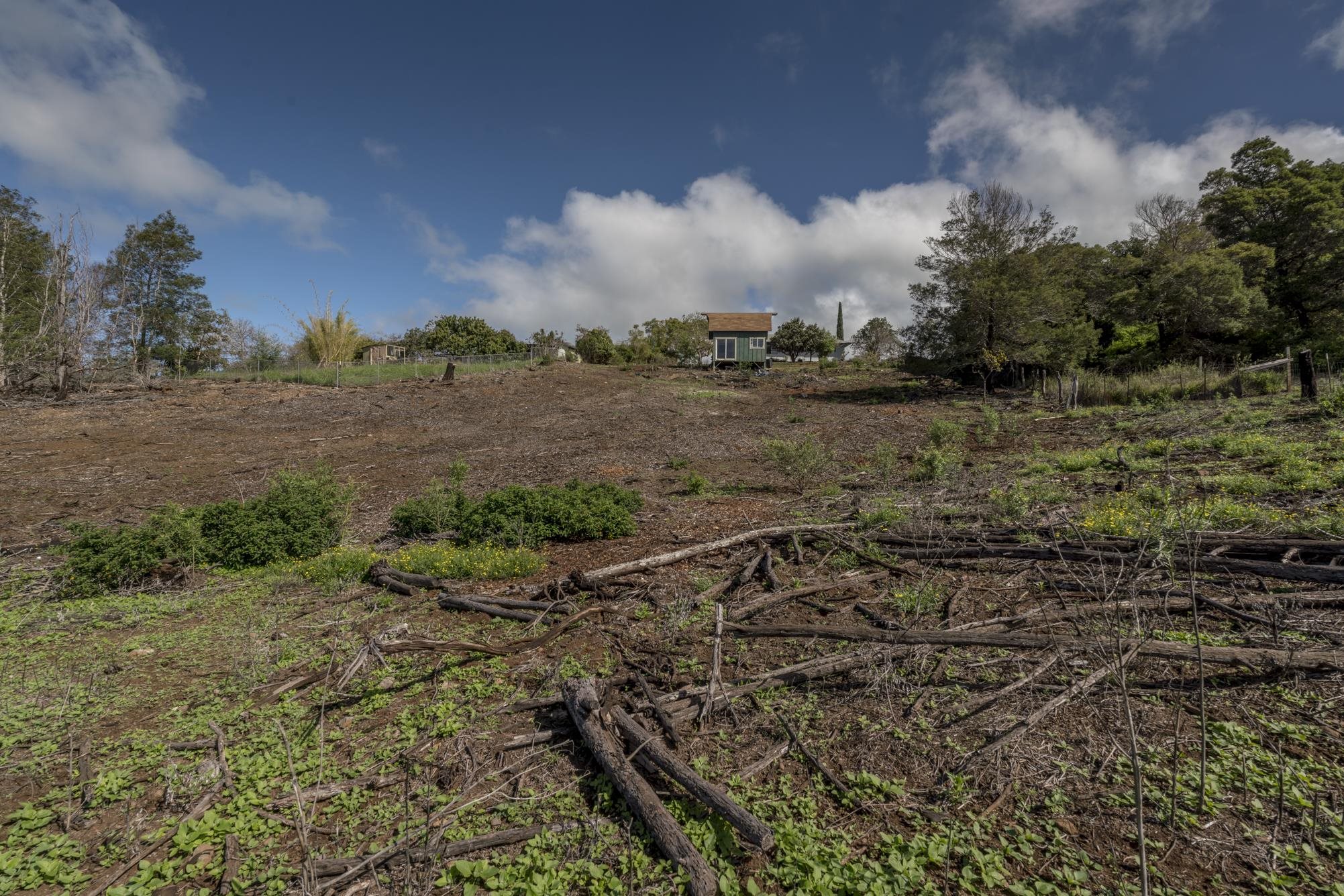 230 Pulehuiki Road, Unit A Kula, HI 96790 - Photo 9 of 29