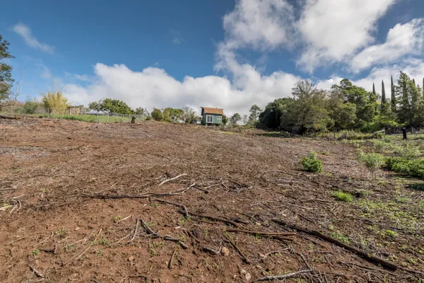 a view of a house with a dry yard and large trees