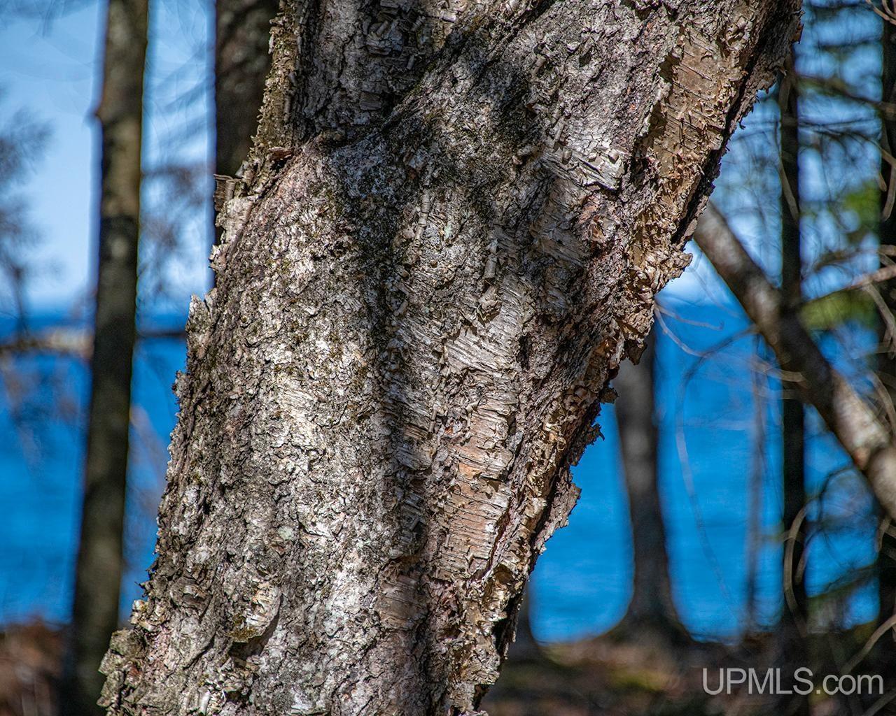 2 Eagles Nest Road Marquette, MI 49855 - Photo 12 of 37