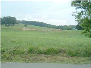 4 Hudlow Loop Road Dunlap, TN 37327 - Photo 1 of 4 Primary Photo