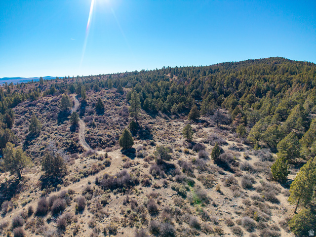1955 West Mammoth Crk Road Hatch, UT 84735 - Photo 28 of 52 Expansive terrain featuring varied topography, mature evergreen trees, and natural desert shrubbery
