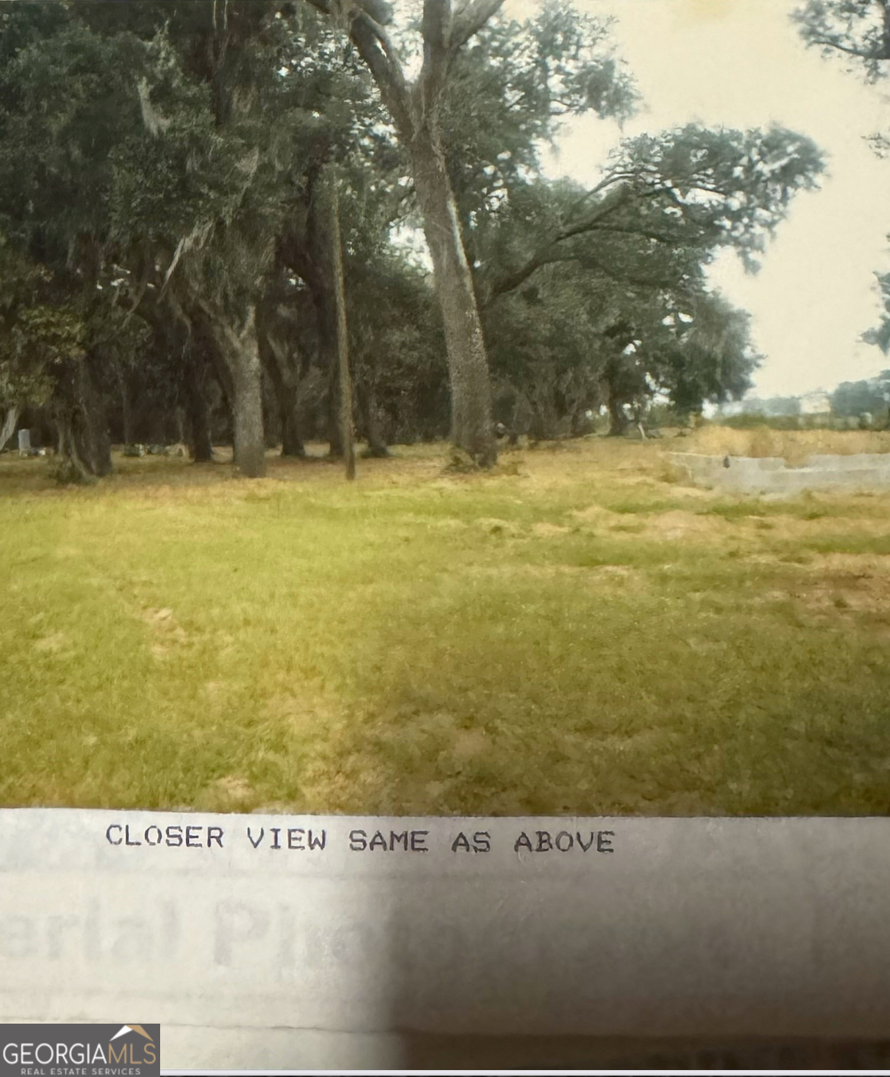 0 Pikes Pond Road Lake Park, GA 31636 - Photo 12 of 12