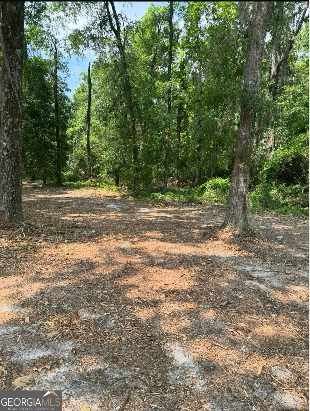 0 Pikes Pond Road Lake Park, GA 31636 - Photo 2 of 12