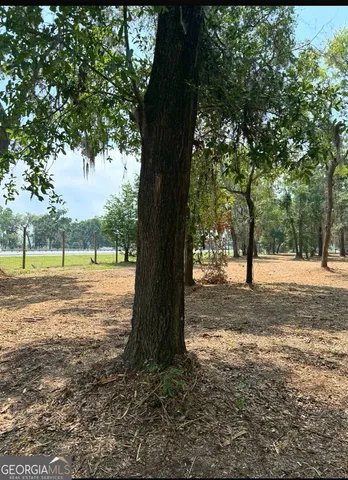 $95,000 | 0 Pikes Pond Road, Lake Park, GA 31636