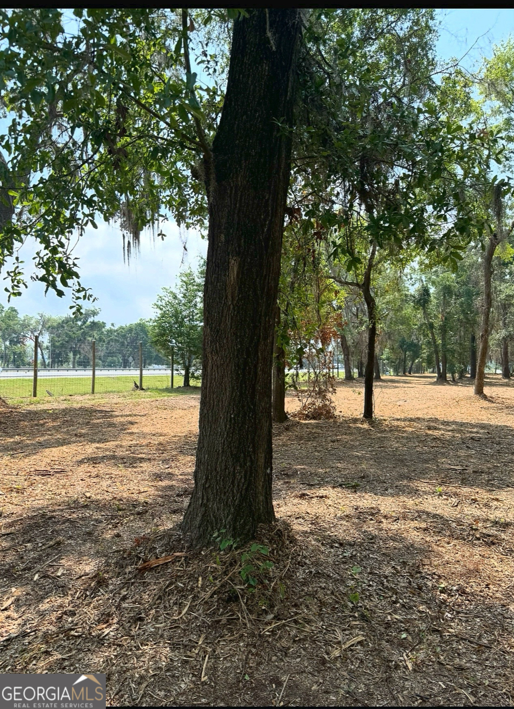 0 Pikes Pond Road Lake Park, GA 31636 - Photo 4 of 12