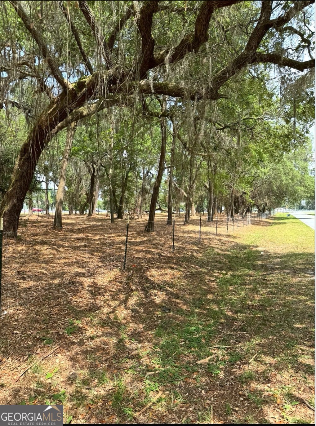0 Pikes Pond Road Lake Park, GA 31636 - Photo 7 of 12