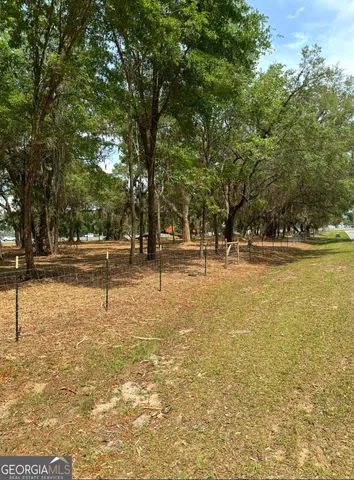 $95,000 | 0 Pikes Pond Road, Lake Park, GA 31636