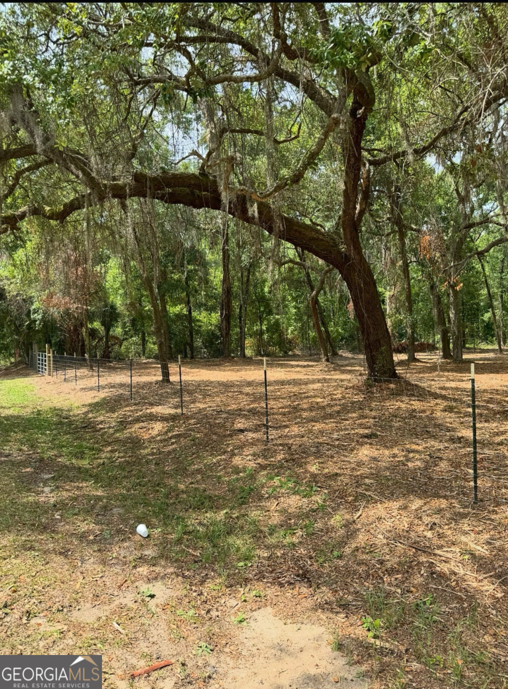 0 Pikes Pond Road Lake Park, GA 31636 - Photo 10 of 12