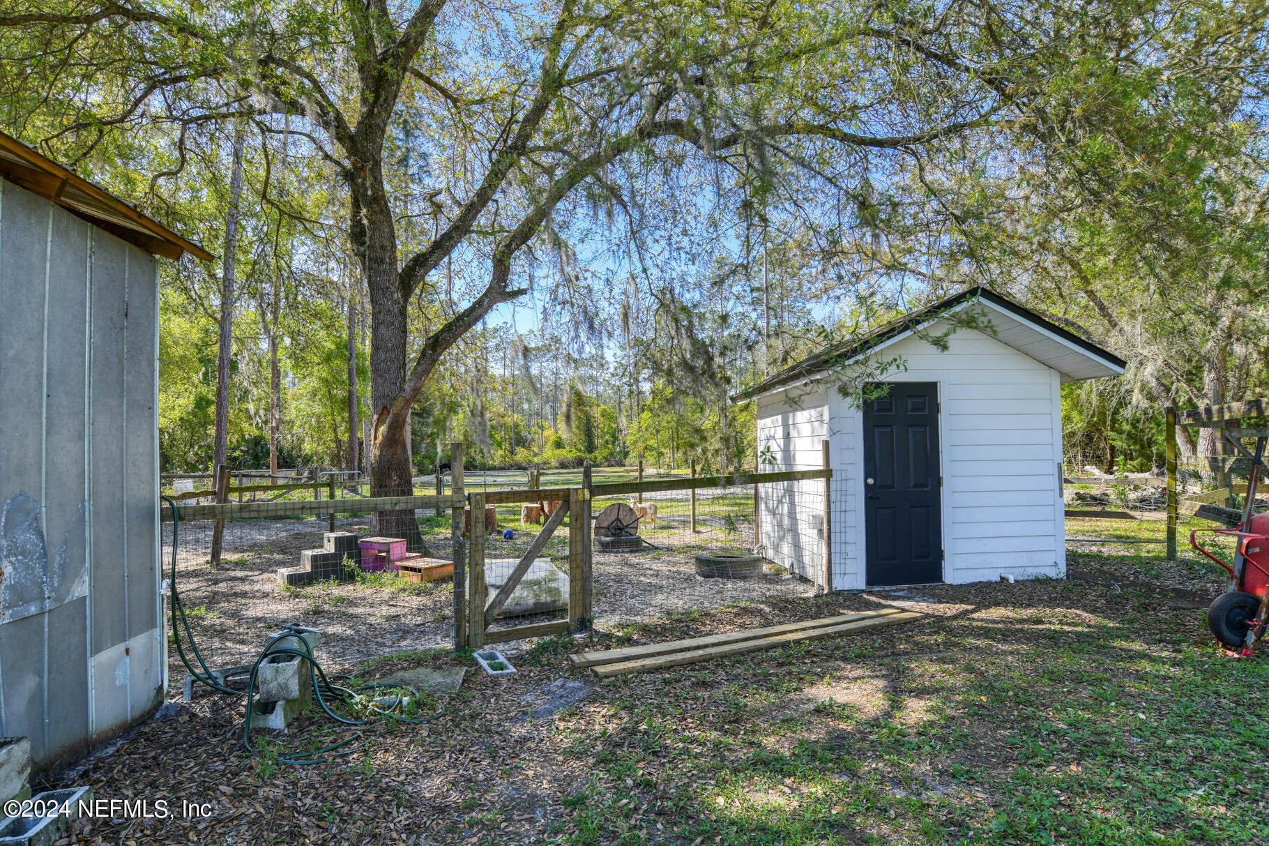 1155 Cousintown Road Interlachen, FL 32148 - Photo 48 of 57 fenced pen