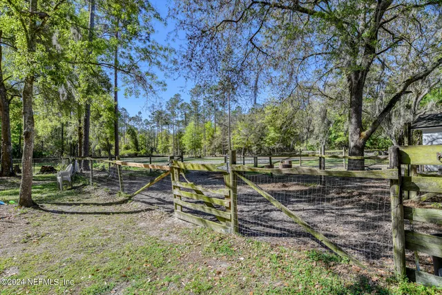 a view of a bunch of trees