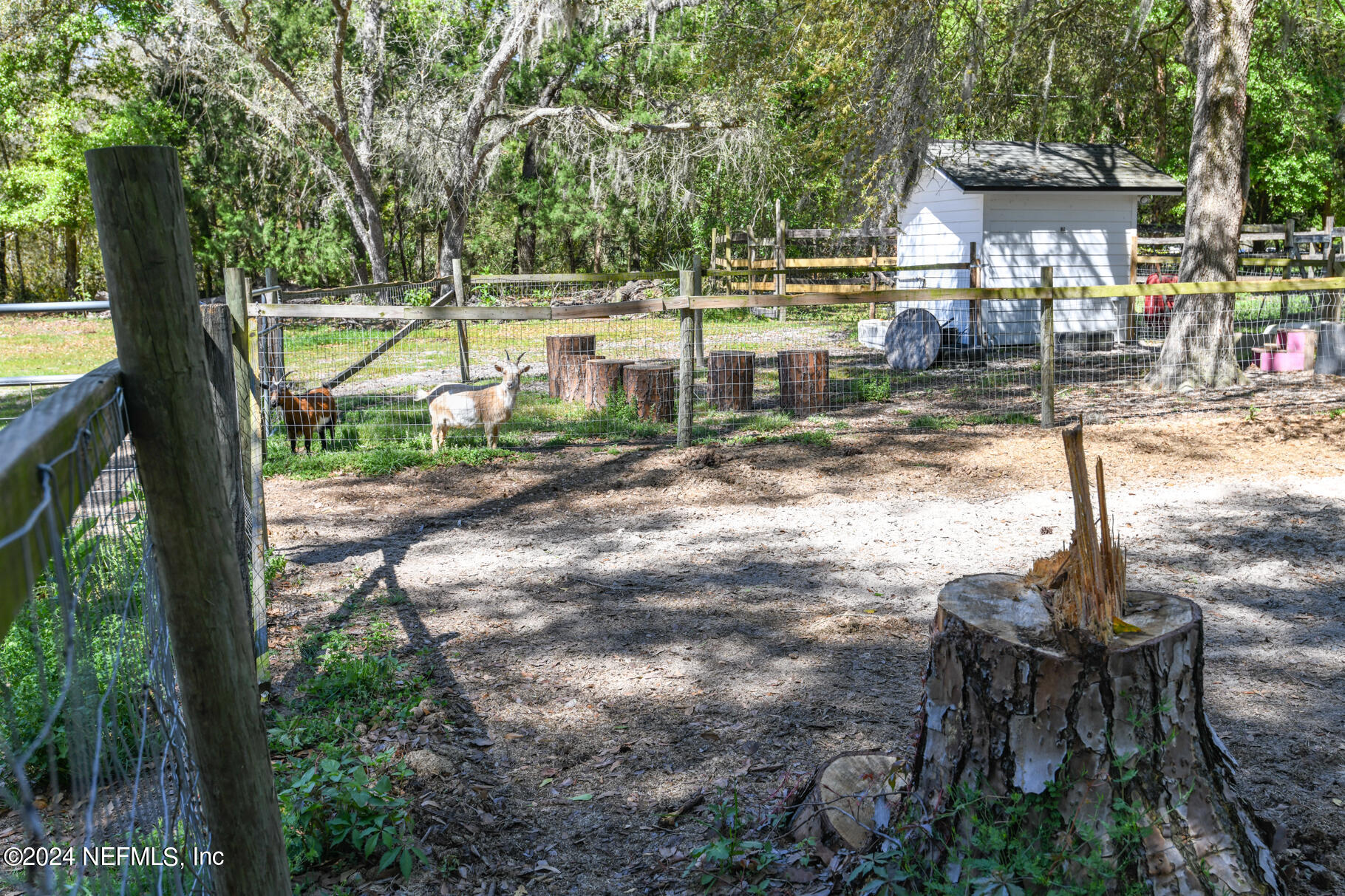 1155 Cousintown Road Interlachen, FL 32148 - Photo 51 of 57 fenced pen