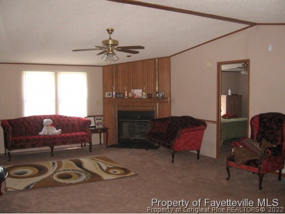 996 Chason Road Lumber Bridge, NC 28357 - Photo 2 of 10 Gallery Image 2