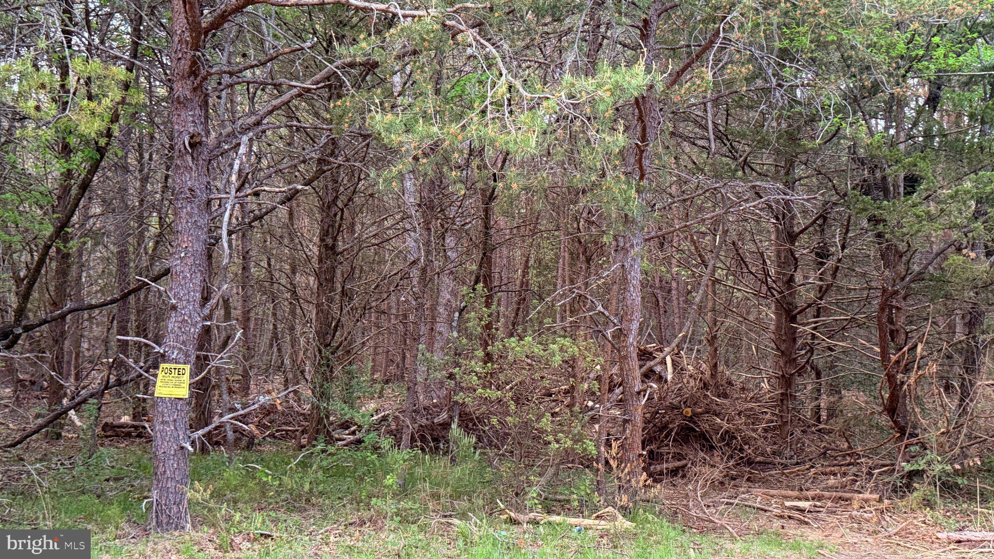 0 West Factory Road Cedarville, NJ 08311 - Photo 11 of 15 Secluded woodland with a warning sign.