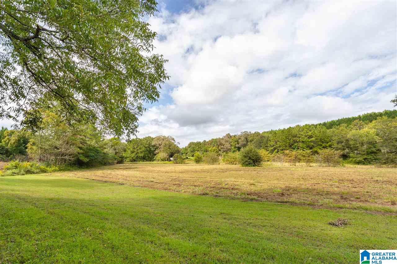 577 Richeytown Road Eastaboga, AL 36260 - Photo 41 of 42