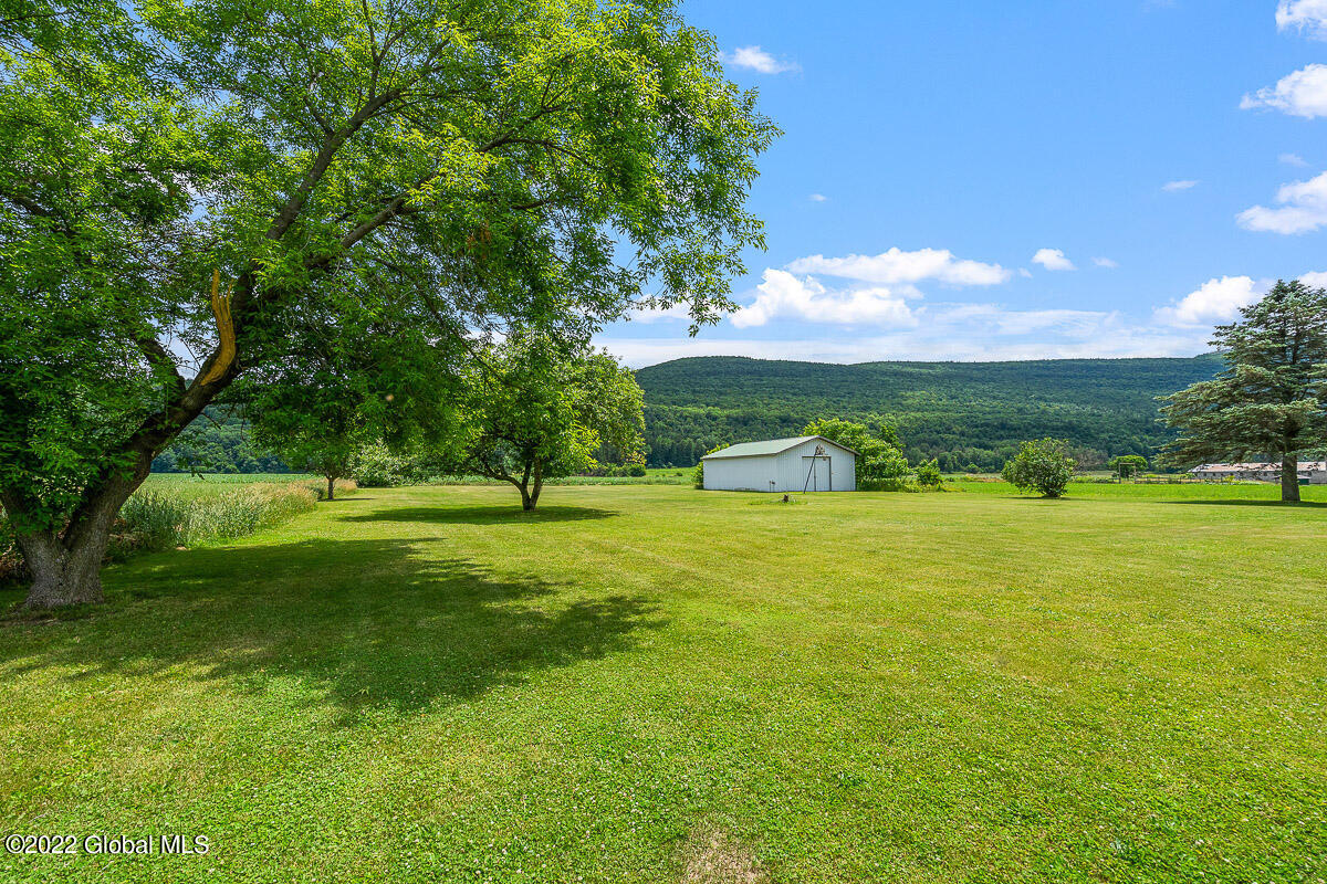 1372 Clauverwie Road Middleburgh, NY 12122 - Photo 8 of 58 1372 Clauverwie Rd Middleburgh NY 021 ML