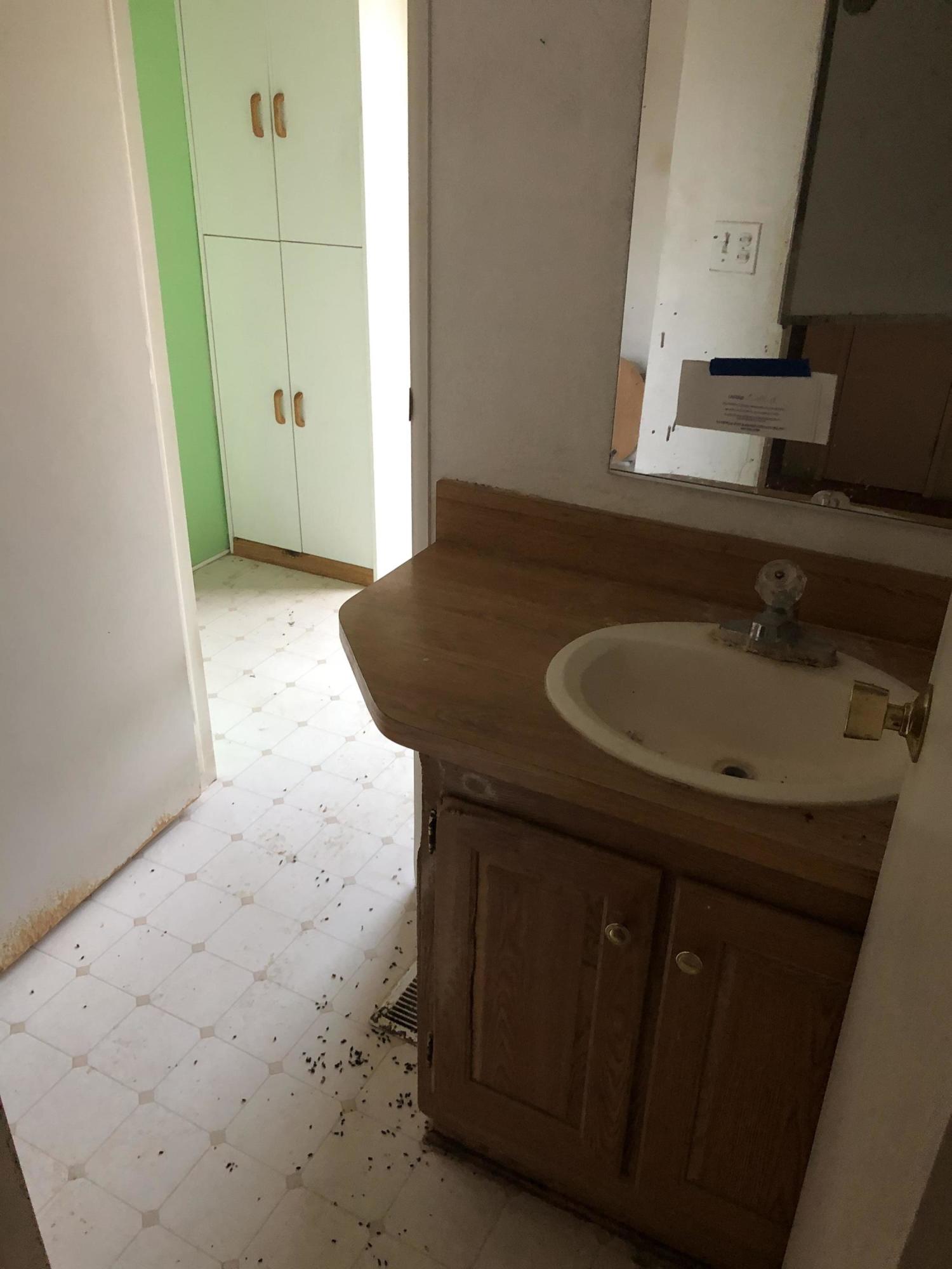 59625 Kgkj Ranch Road Anza, CA 92539 - Photo 15 of 18 2019-11-22 16.30.40