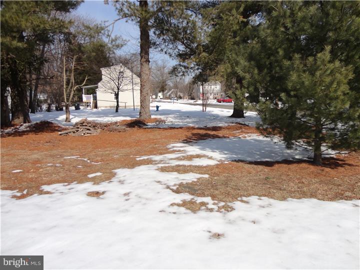 301 Cornell Road Glassboro, NJ 08028 - Photo 14 of 14 Side Yard